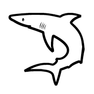 Shark