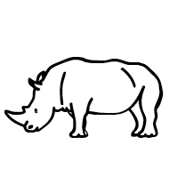 Rhinoceros