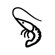 Shrimp