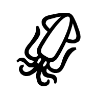 Squid