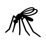 Mosquito