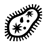 Microbe