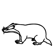 Badger