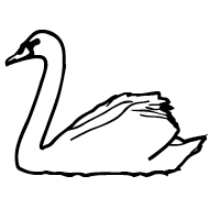 Swan