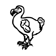 Dodo