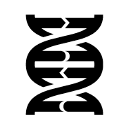 Dna Double Helix